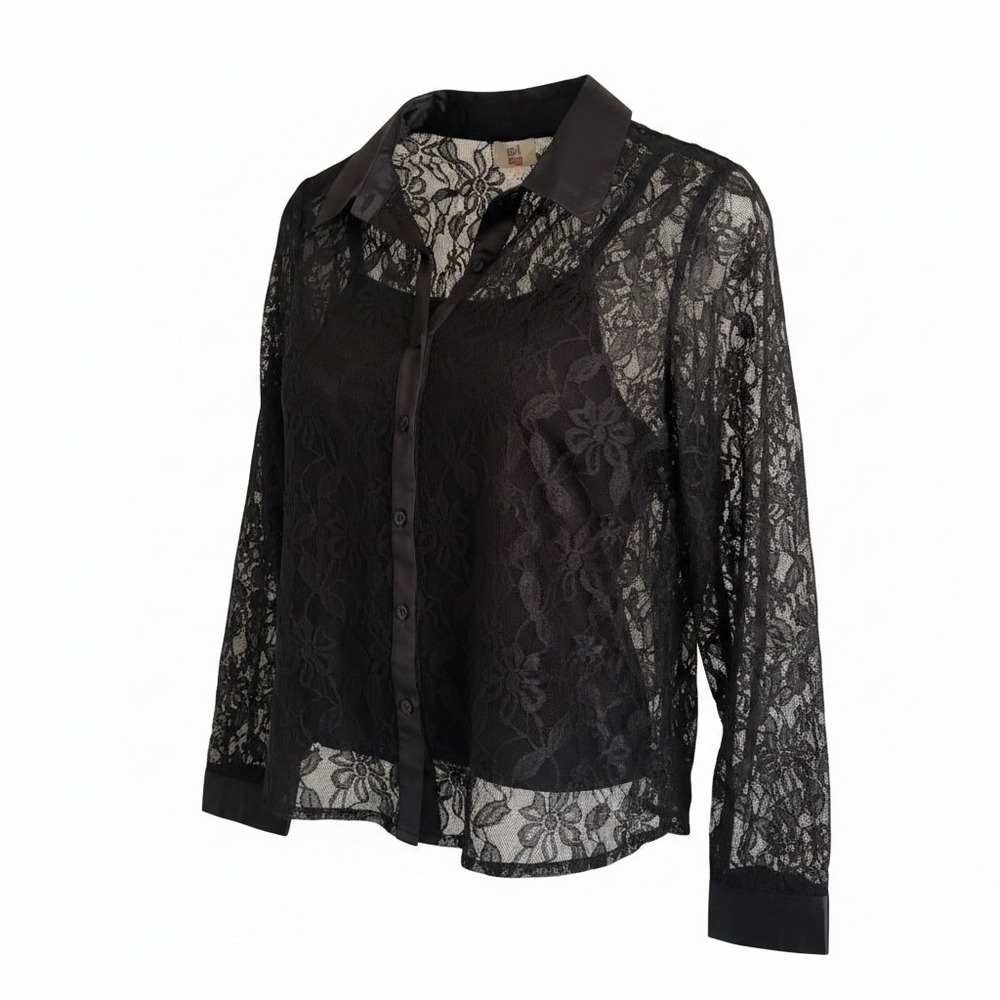 Dark Romance Sheer Elegant Black Lace Blouse Romantic Goth Witchy Vampy Moody LG